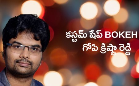 కస్టమ్ బోకే ఎఫెక్ట్ -గోపి క్రిష్ణా రెడ్డి