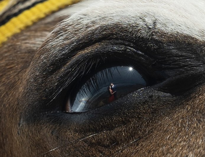 ఫోటోగ్రాఫర్ కొత్త ప్రయోగం