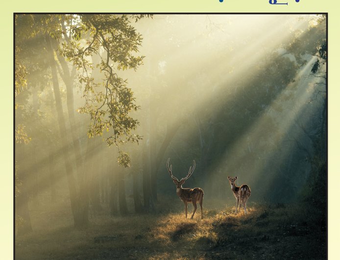 APA వారి  ఫోటోలైఫ్  ఈ - మ్యాగ్జిన్  విడుదల